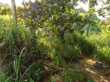 Terreno para venda em Santo Amaro